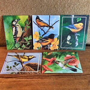Set of 5 Blank Bird Greeting Cards by Michael Hegedus w/ Envelopes Nature Art